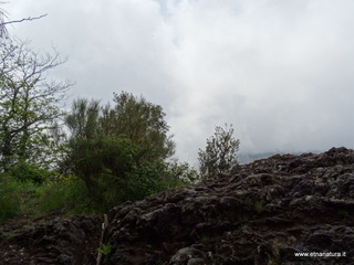 nte Fontane-19-05-2018 10-32-17